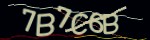 Mã bảo mật