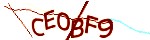 Mã bảo mật